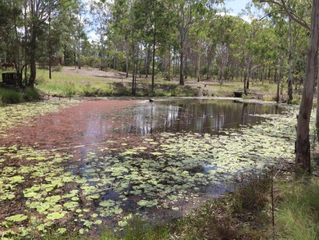 House for sale in Yandaran, Queensland