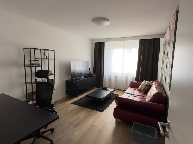 Apartment mieten in Mitte, Braunschweig