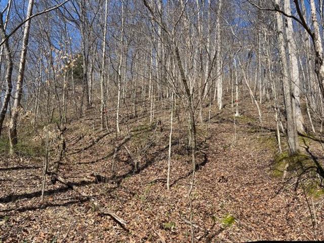 Land for sale in Columbia, Kentucky