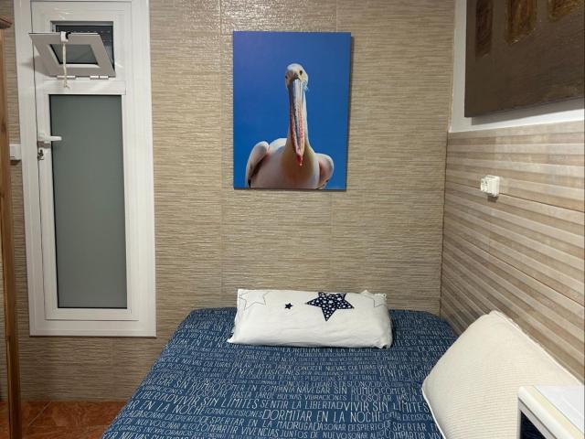 Estudio en alquiler en Collblanc, L'hospitalet De Llobregat