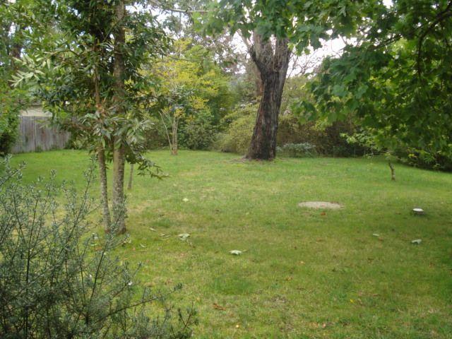 House for rent in Blackheath, New South Wales