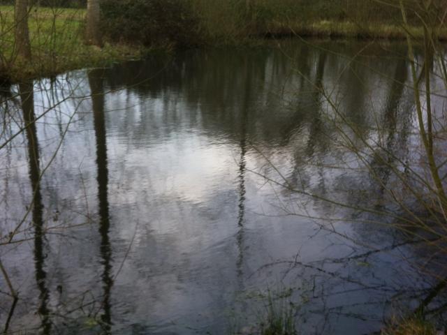 Terrain vente à Mayenne, Neau