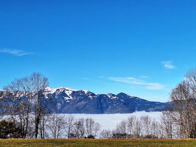 Apartment kaufen in Zwischenwasser, Vorarlberg