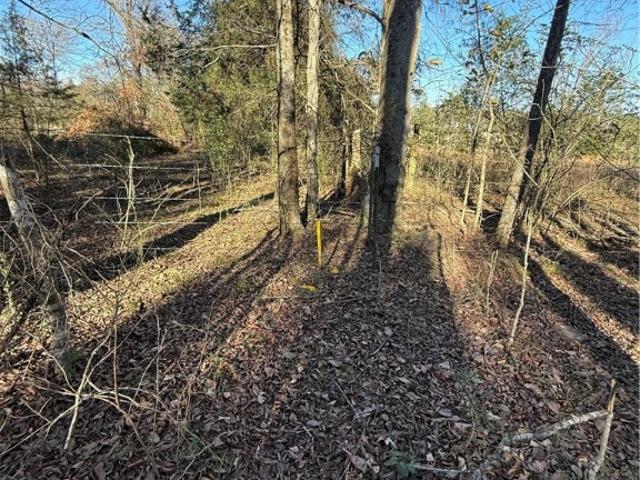 Land for sale in Ark
