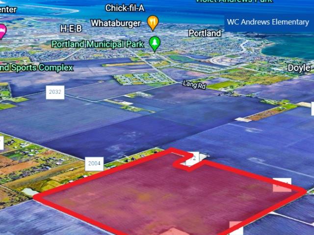 Land for sale in San Patricio, Texas