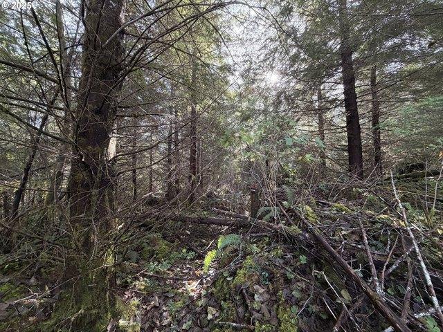 Land for sale in Seaside, Clatsop County