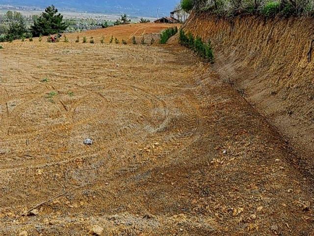 Eski Necip, Turhal içerisinde satılık Arsa