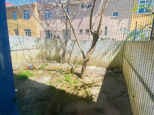 Pendik, İstanbul içerisinde kiralık mülk