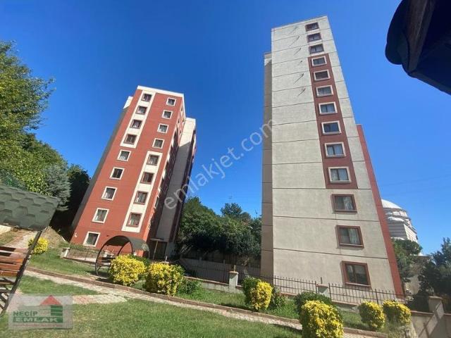 Dolayoba, Pendik içerisinde kiralık mülk