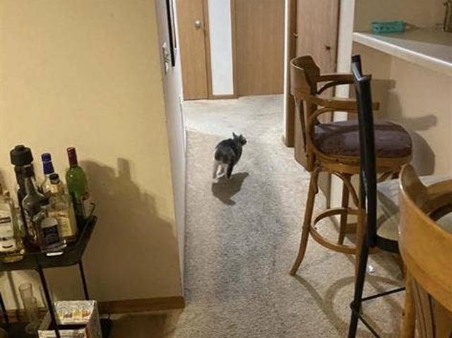 Room for rent in Story, Iowa