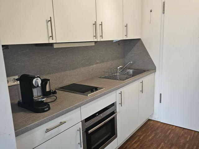Apartment mieten in Gallus, Sachsenhausen