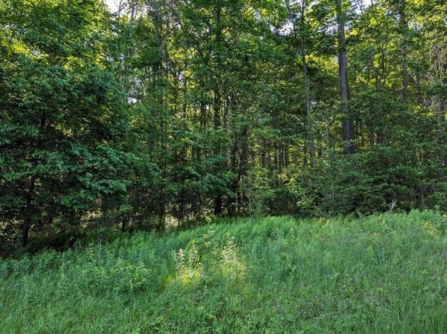 Land for sale in Coudersport, Pennsylvania