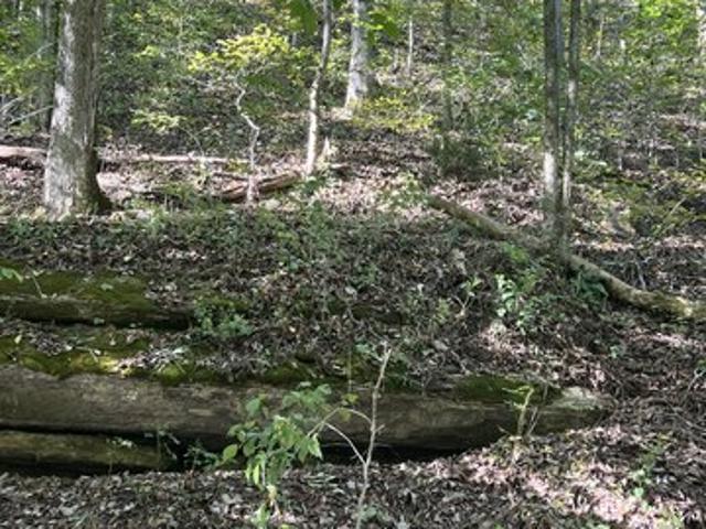 Land for sale in Tennessee