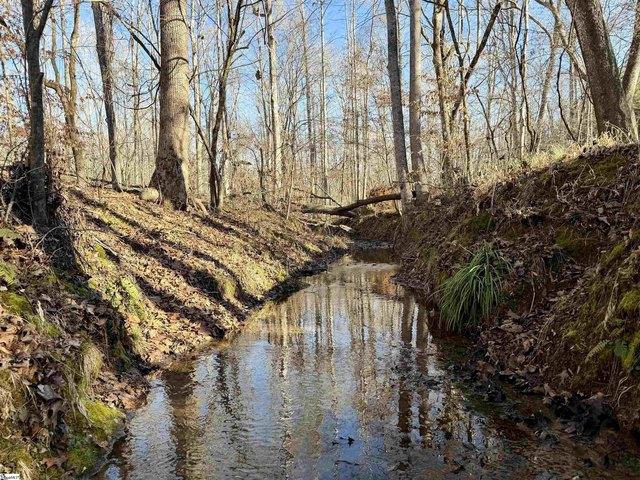 Land for sale in Laurens, South Carolina