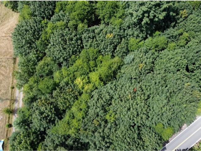 Land for sale in Oregonia