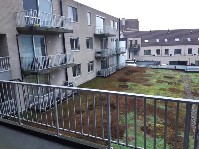 Appartement location à Renaix, Oost-Vlaanderen