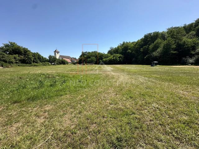 Terrain vente à Haguenau-Wissembourg, Neewiller-près-lauterbourg