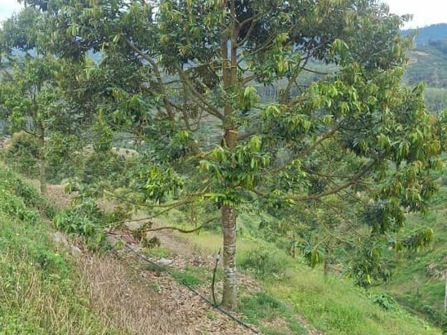 Property for sale in Negeri Sembilan