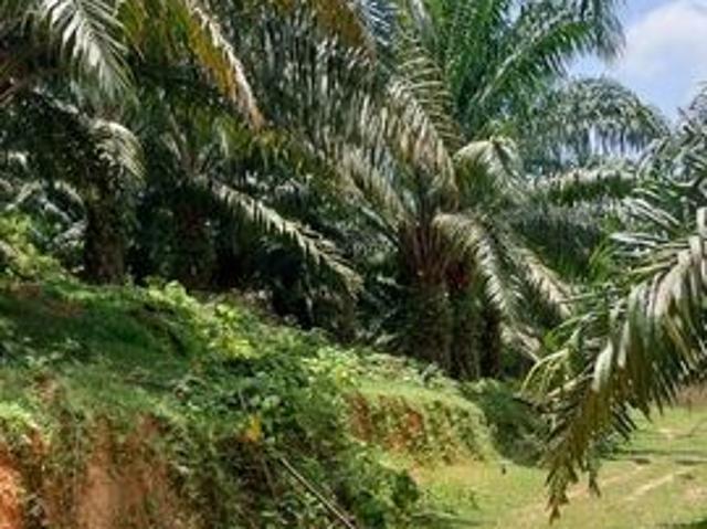 Shop for sale in Rembau, Negeri Sembilan