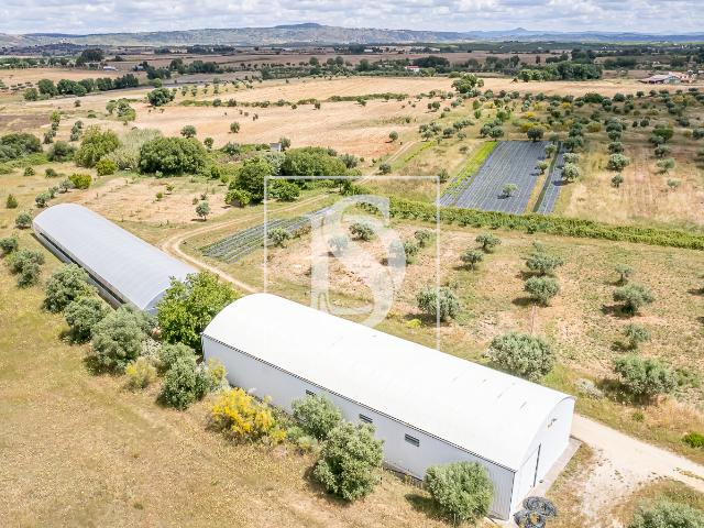 Quinta venda em Idanha-a-nova, Castelo Branco