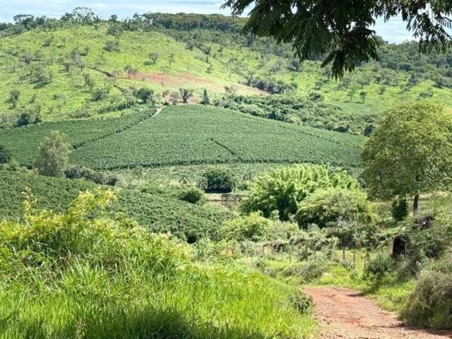 Sítio e chácara venda em Região Geográfica Imediata de Lavras, Bom Sucesso
