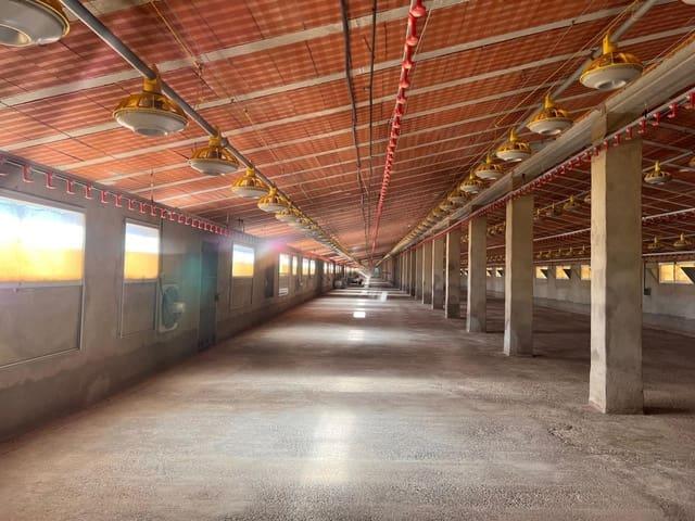Local Comercial en venta en La Serranía, Valencia
