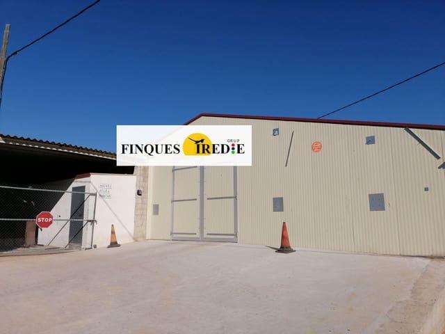 Local Comercial en venta en Baix Ebre, Catalunya