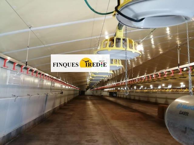 Local Comercial en venta en Baix Ebre, Catalunya