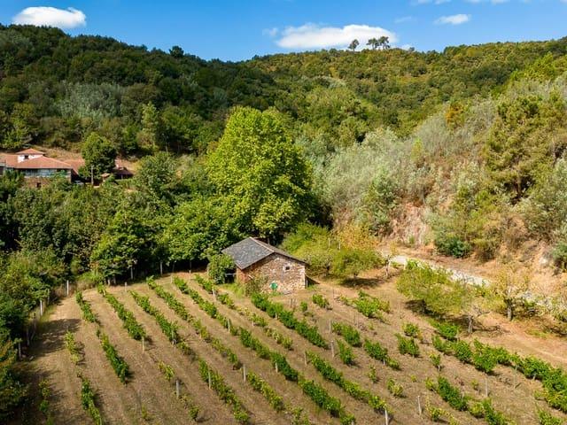 Local Comercial en venta en Monforte de Lemos, Terra de Lemos