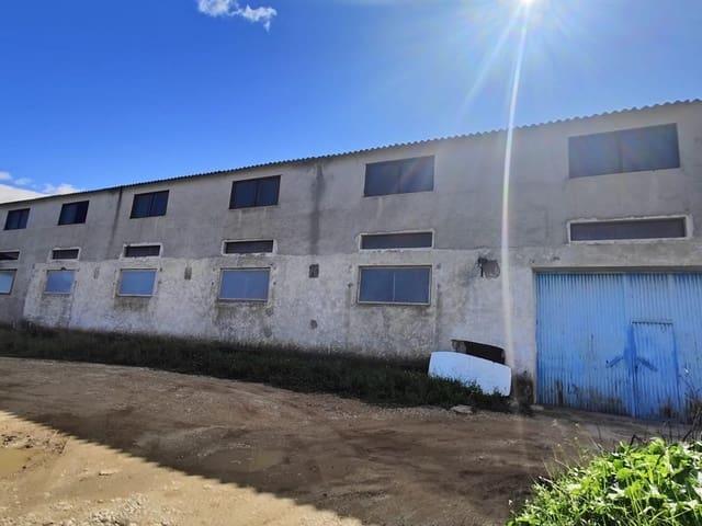 Local Comercial en venta en Pliego