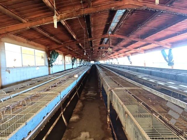 Local Comercial en venta en el Baix Maestrat, Valencia