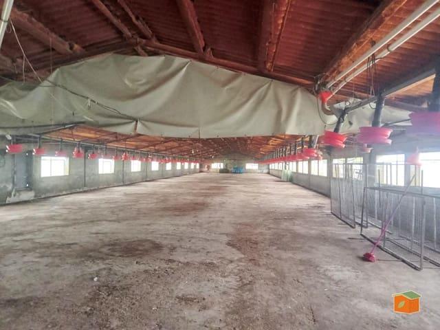 Local Comercial en venta en Santa Bàrbara, Tarragona