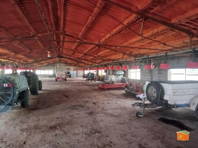 Local Comercial en venta en Montsià, Catalunya