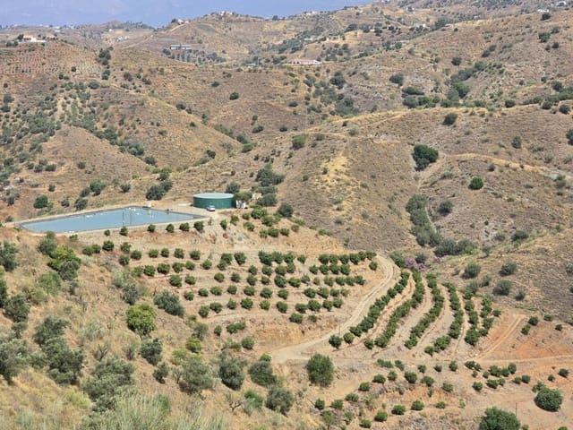 Local Comercial en venta en Sedella