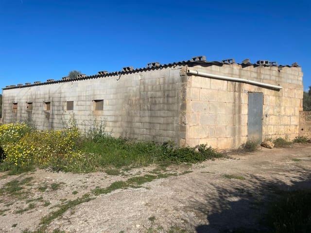 Local Comercial en venta en Pla de Mallorca, Baleares