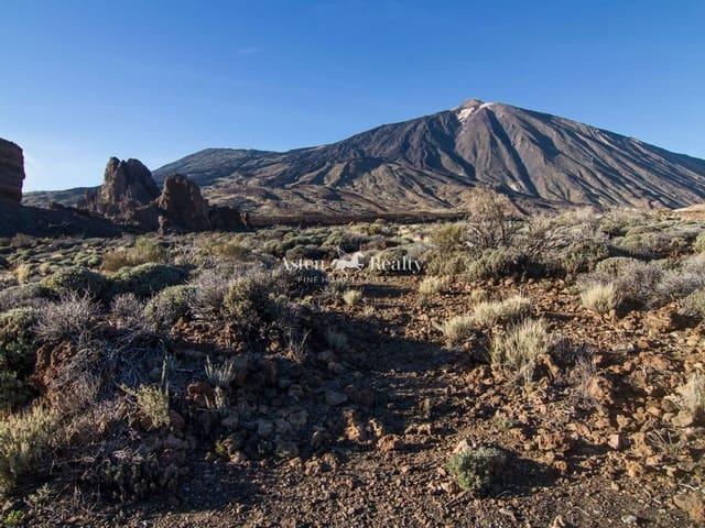 Local Comercial en venta en San Eugenio Bajo, Adeje