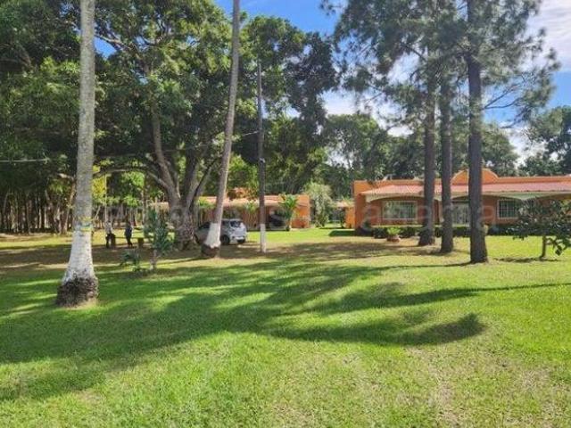 Negocio en venta Finca en El Chirú ELP 25 7125