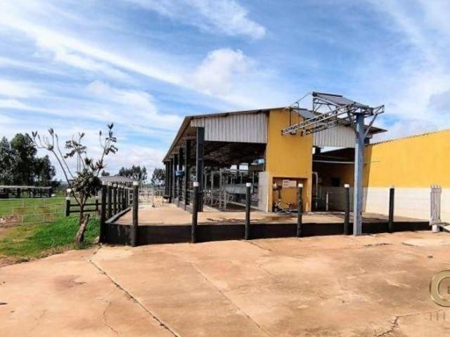 Sítio e chácara venda em Região Geográfica Imediata de Umuarama, Região Metropolitana de Umuarama
