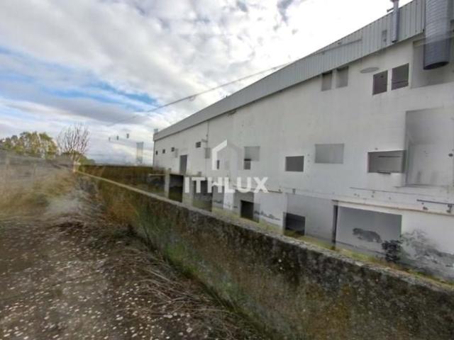 Loja venda em Elvas, Portalegre