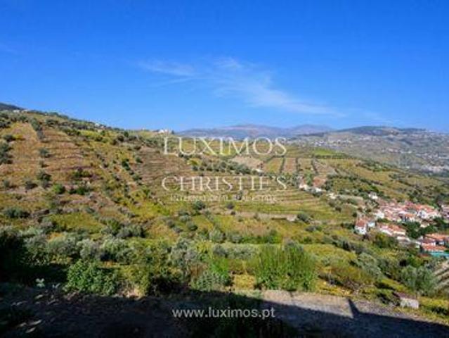 Loja venda em Lamego, Viseu