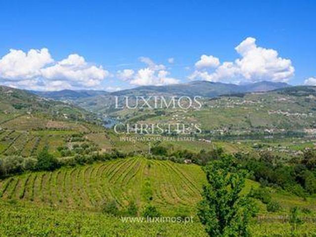 Loja venda em Lamego, Viseu