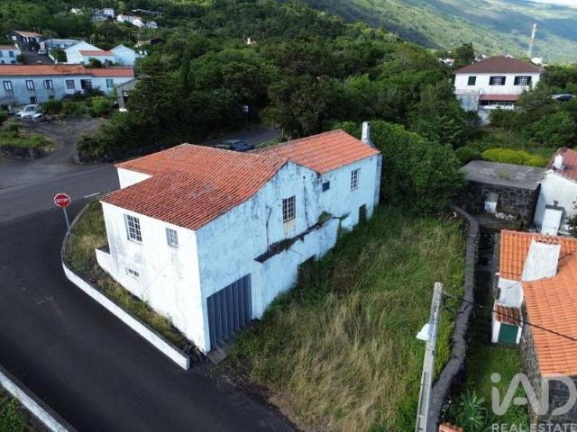 Loja venda em Açores, Ribeiras