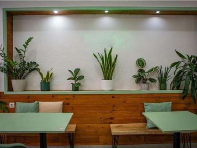 Loja alugar em Lisboa