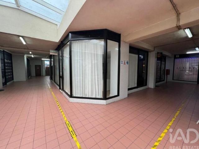 Loja alugar em Porto