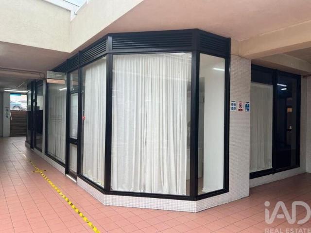 Loja alugar em Porto