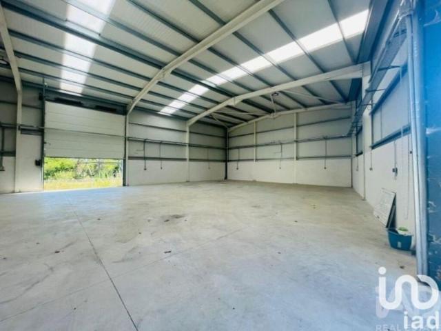 Loja alugar em Viana Do Castelo