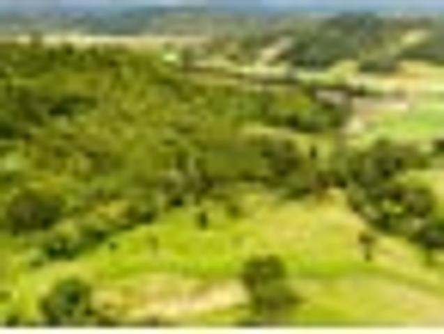 Land for sale in Ohaeawai, Northland