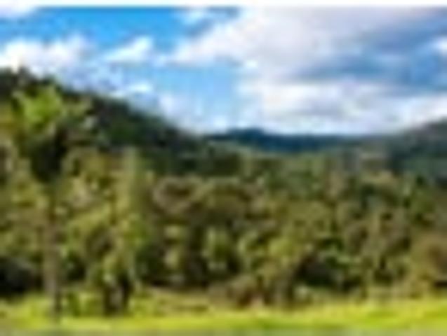 Land for sale in Ohaeawai, Northland