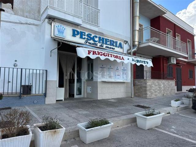 Locale Commerciale in affitto a Villanova di Ostuni, Puglia