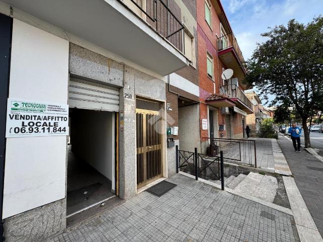 Locale Commerciale in affitto a La Torretta, Roma Capitale